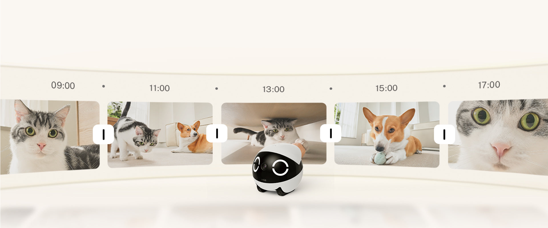 ROLA Mini pet monitor capture adorable pet moments
