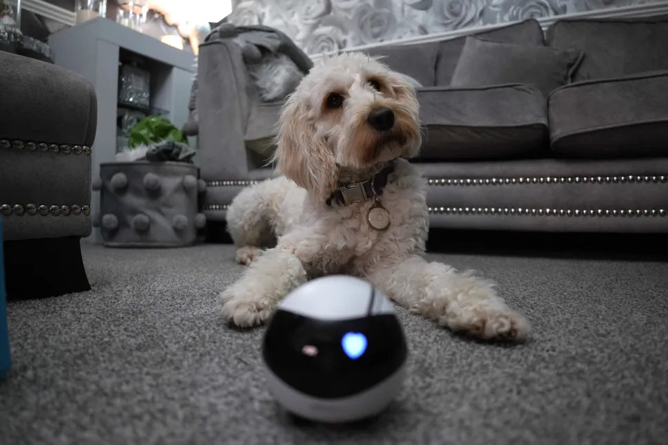 Digital Camera World: Enabot EBO Air is An adorable robot pet camera