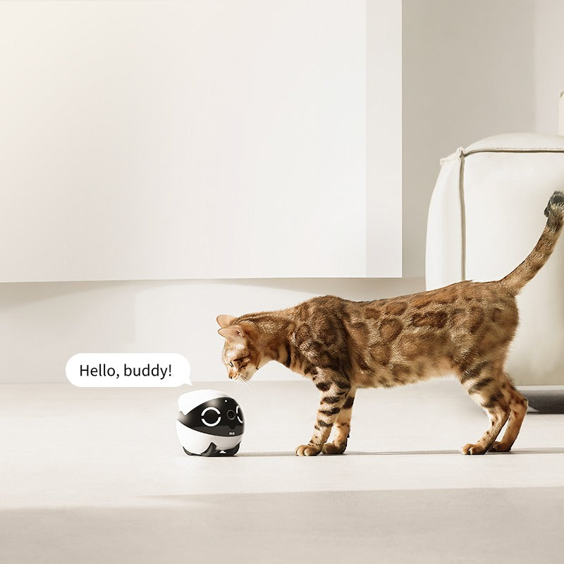 ROLA Mini pet monitor entertain your pets