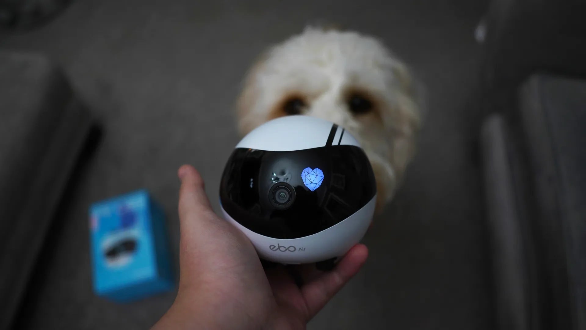 Digital Camera World: Enabot EBO Air is An adorable robot pet camera