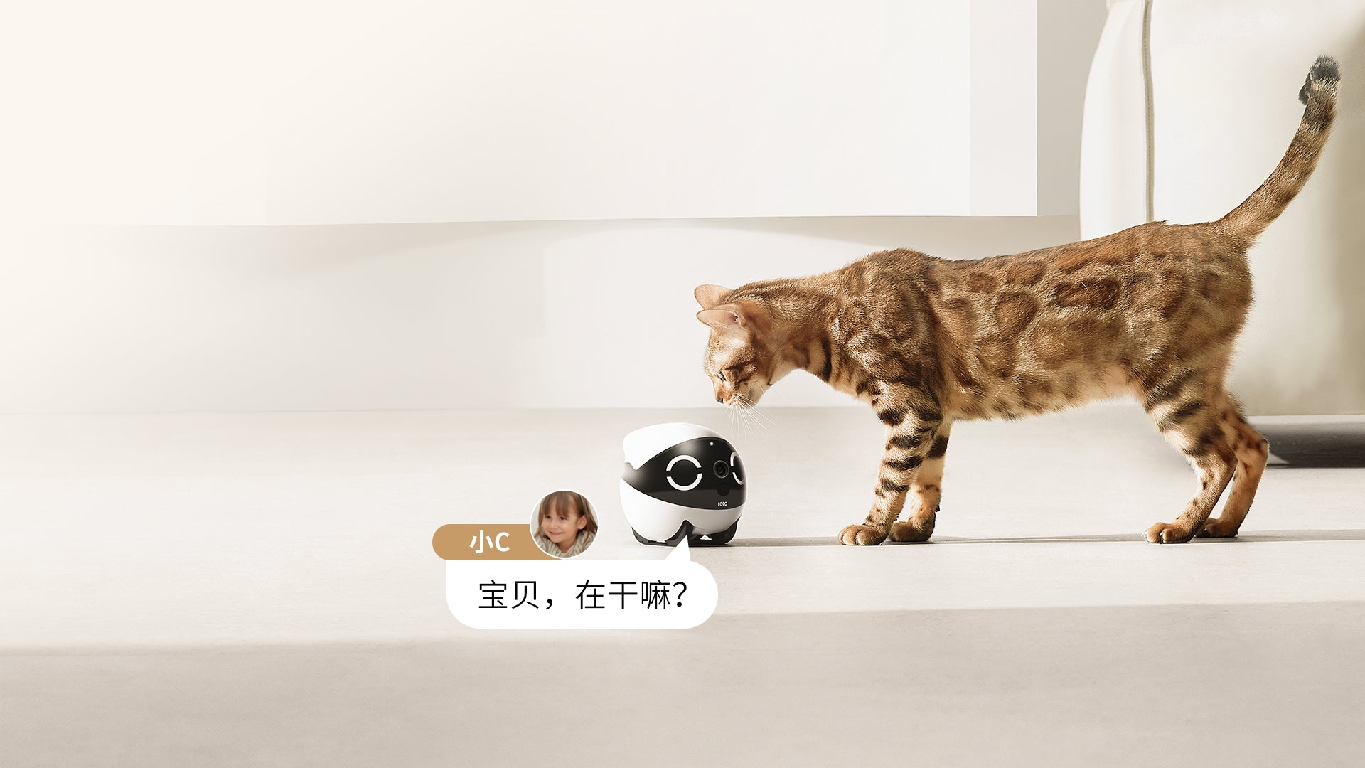 ROLA Mini companion robot tumbler design