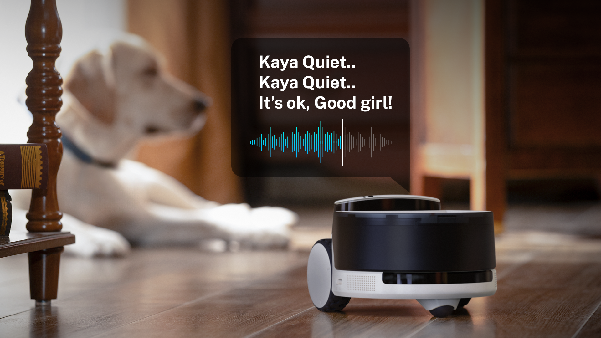 ROLA PetPal Pre-Recorded Voice Commands