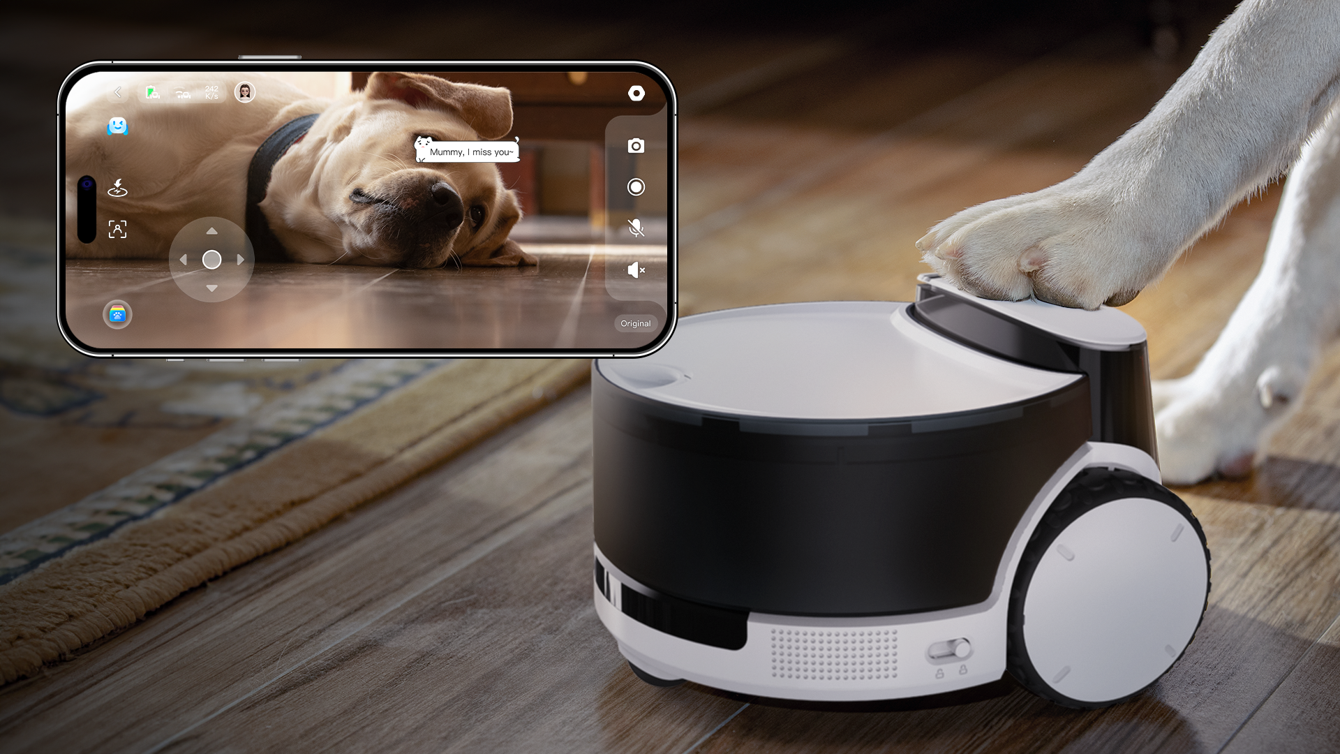 ROLA PetPAL Pet-Initiated Chat