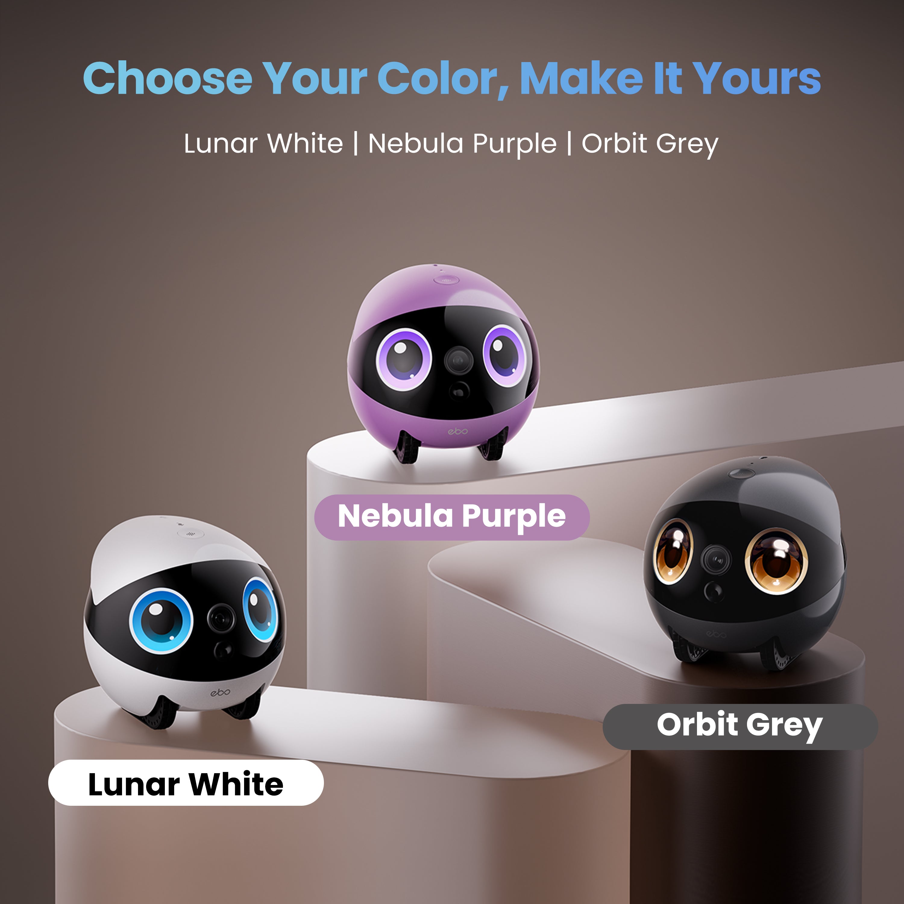 EBO Air 2 Plus Companion Robot