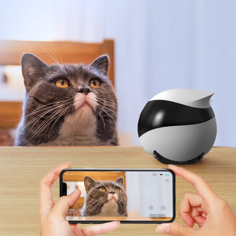 EBO SE Wireless Camera Robot