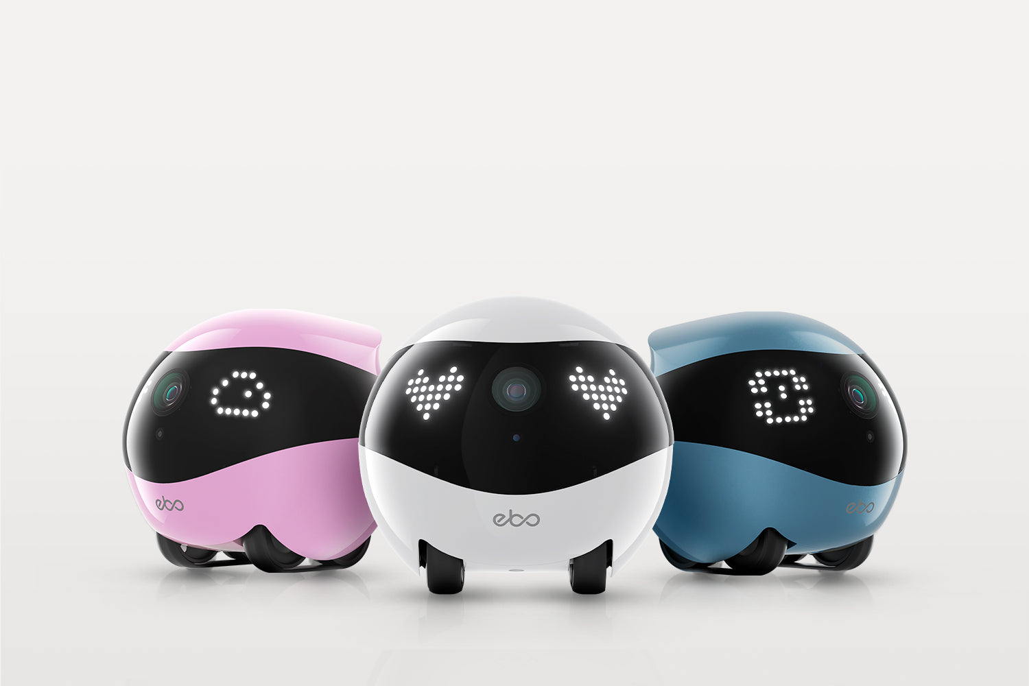 EBO Air 2 companion robot: 3 Color Options