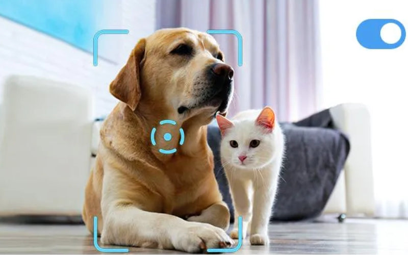 EBO X pets companion